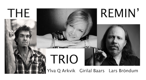The Remin' Trio poster